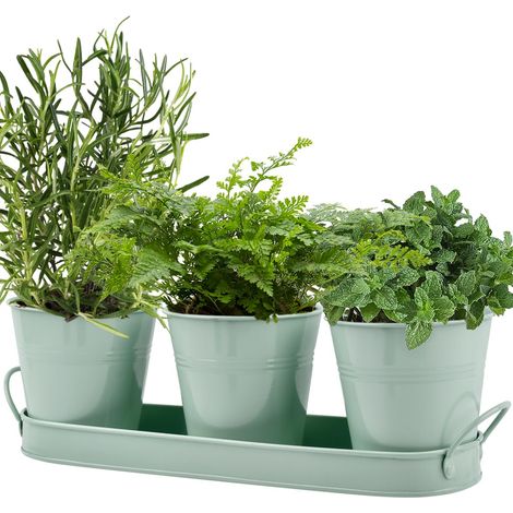 3 Pots à Herbes Aromatiques en Métal, Pot à Herbes Plantes D'intérieur Plateau, Cultivez des Fraîches chez Vous Jardinière Rebord de Fenêtre pour Basilic, Menthe, Persil, Fraîches (1/5)