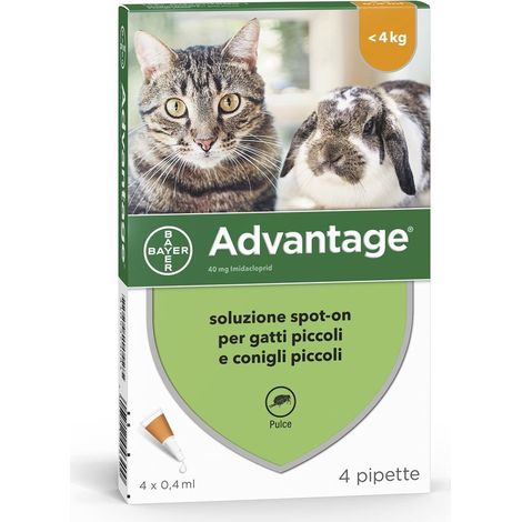 Advantage 40 solution pesticide localisée pour chats jusqu'à 4 kg de poids 4 pipettes