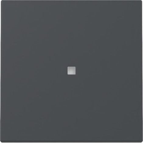Gira WIPPE KONTROLLF.  ANTHRAZIT (329028 SYSTEM 55)
