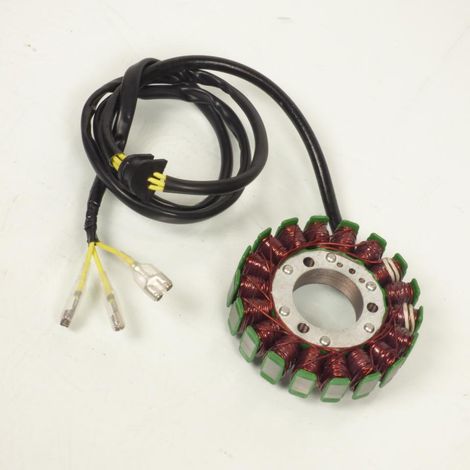 Lichtmaschine Electrosport für Motorrad Suzuki 450 GS 1982 bis (1/5)