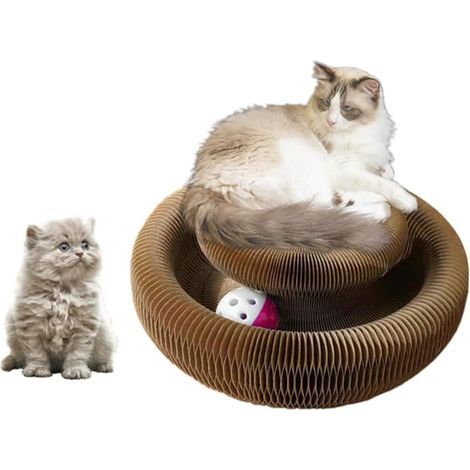 Griffoir pour chat Magic Organ Cat Ball Adventure L'exercice physique mental interactif ultime pour les chats d'intérieur (1/4)