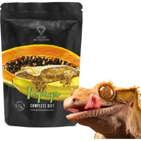 Gecko Nutrition Banane Papaye - nourriture : gecko à crête, felsum 50g (1/3)