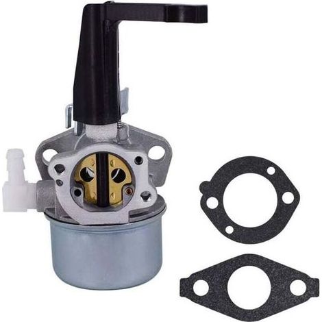 Carburateur 696065 697422 avec kit de joints de montage pour moteur de motoculteur Briggs & Stratton 110402 110412 215369 5HP 5,5HP 6HP 6,5HP 7HP Moteur motoculteur Troy Générateur Intek Moteur Pompe (1/4)