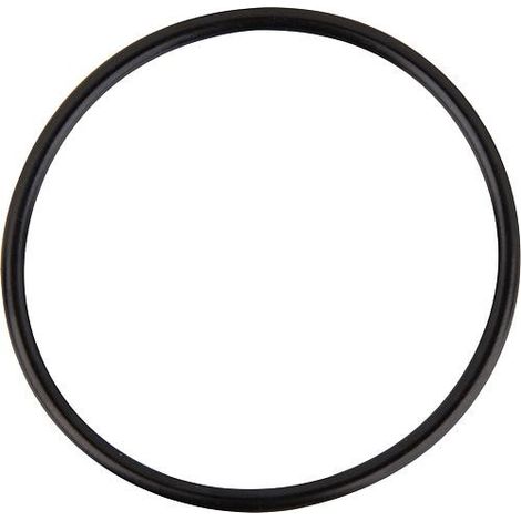 Joint torique pour Colonia - bride de raccordement DN20 (3/4") - DN25 (1")