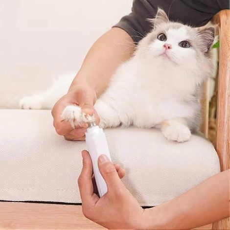 Coupe-ongles électrique rechargeable pour chats et chiens (1/5)
