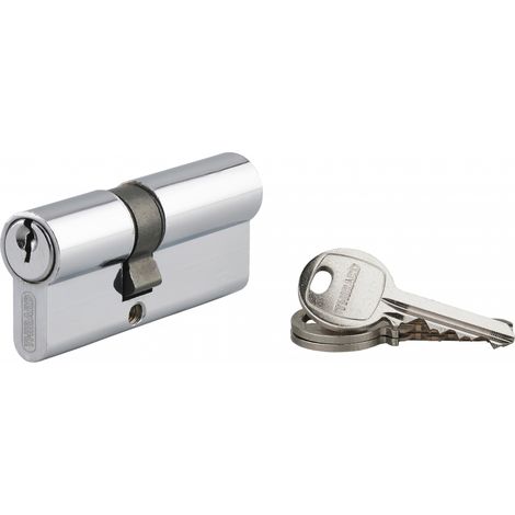 Cylindre de serrure à clé crantée Ecopro nickelé 30x40 mm – Double entrée – Protection anti-arrachement – Niveau de sécurité 2 – SP