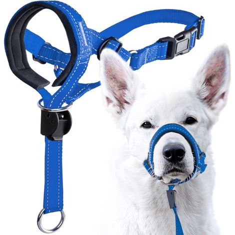 Muselière pour chien - Muselière ajustable pour animaux de compagnie - Collier de tête avec sangle de sécurité - Empêche les fortes tractions sur la laisse - Collier rembourré pour chiens de petite, m (1/5)