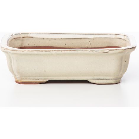 Vaso bonsai smaltato rettangolare cm. 27 Avorio (1/2)