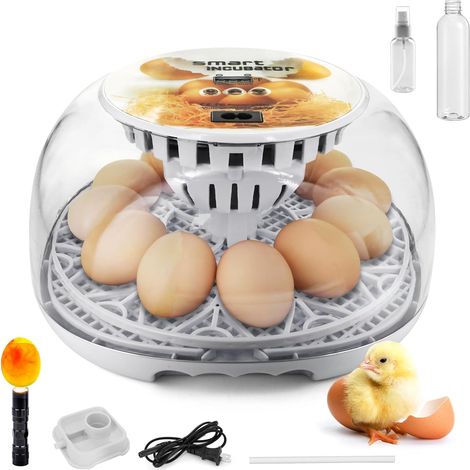 Couveuse Oeuf Automatique pour Poules 12 Oeuf Avec Retournement, Affichage De Température, Fenêtre 360°, Lampe À Mirer – Pour Oeuf De Poules, Canards, Cailles Et Volaille Incubateur à œufs (1/5)