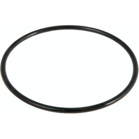 BESTWAY - P6559 - Guarnizione boccia filtro a sabbia 58404-58199-58256 (1/2)