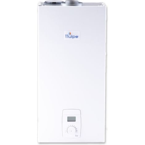 TTulpe C-Meister 14 P37 Eco ErP/low NOx room sealed gas water heater, propane/butane gas (30-37 mbar) (1/5)