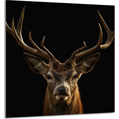 Panneau de verre pour cuisine 60x65 Cerf (1/5)