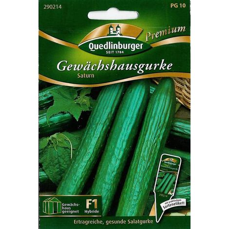 Quedlinburger Gewächshausgurke Saturn - Gemüsesamen (1/2)
