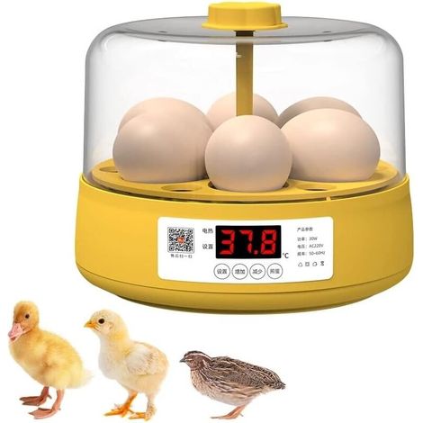 Incubateur d'œufs de poulet à écran numérique LED pour volaille,Incubateur pour œufs,Rotation automatique,Contrôle numérique intelligent de la température,Coffret cadeau pour enfants,6 œufs (1/4)