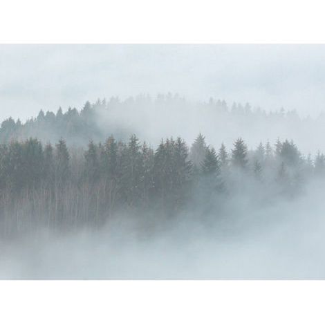 A.S. Creations – Papier peint panoramique forêt – Décor mural paysage montagne – Résistant à la lumière – Pose collée pour bureau et chambre (1/4)