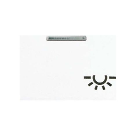 Jung Balancín 1 vez, símbolo luz, con guía de luz, duroplástico, serie A, blanco alpino A 590 KO5 L WW