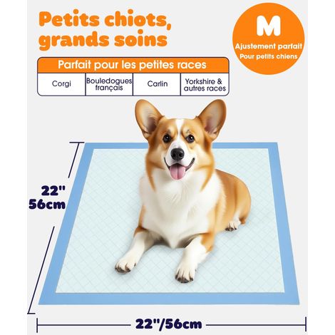 Alèse Chien Jetable 56x56 cm Tapis d'Apprentissage Haute Absorption Propreté Chiot et Chien Âgé Lot de 100 Taille M (1/4)