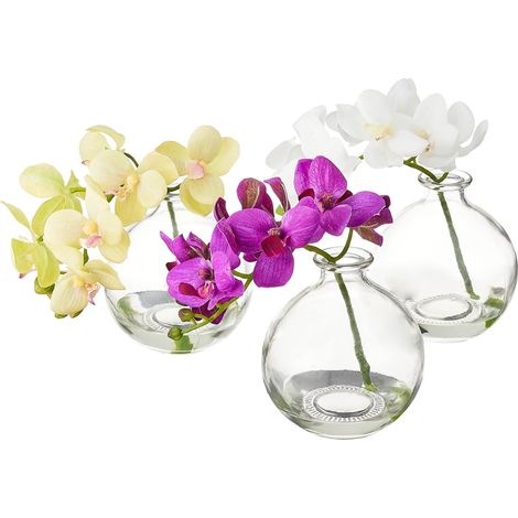 22,9 cm Arrangement de Orchidée Phalaenopsis en Vase, Multi/Couleur (1/5)