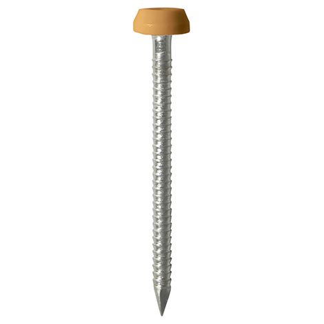 TIMCO Polymer Headed Pins A4 Stainless Steel Oak - 30mm
