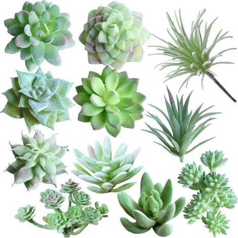 11 Pièces Artificielles Plantes Succulentes,Fleurs Artificielles sans Pot Lmitation de Succulentes,Petite Fausses Plantes Vertes Décoration, pour Salle de Bain, Salon, Bureau Decoration (1/5)