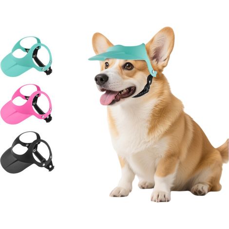 Chapeau de soleil pour chien (1/5)