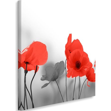 Tableau sur toile Coquelicots d'été rouges Nature Gris 40x40 (1/5)