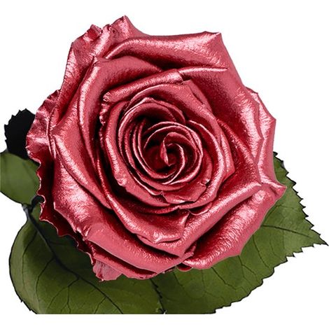 Rose rouge métallisée longue durée – Plus jamais de gâchis  Le cadeau idéal pour la Saint-Valentin – Une rose qui dure infiniment longtemps, sans entretien – Présentée dans un luxueux coffret (1/5)