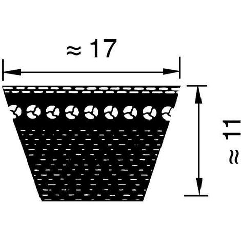 Courroie type trapézoïdale crantée BX43