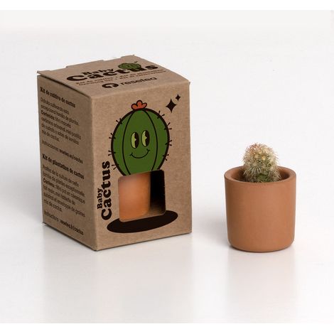 BABY CACTUS (1/4)