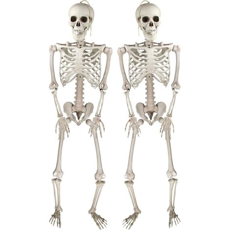 Deco Halloween Squelettes Réalistes  d'Posable pour Intérieure et Extérieure, Accessoires Fête Halloween -2PCS-