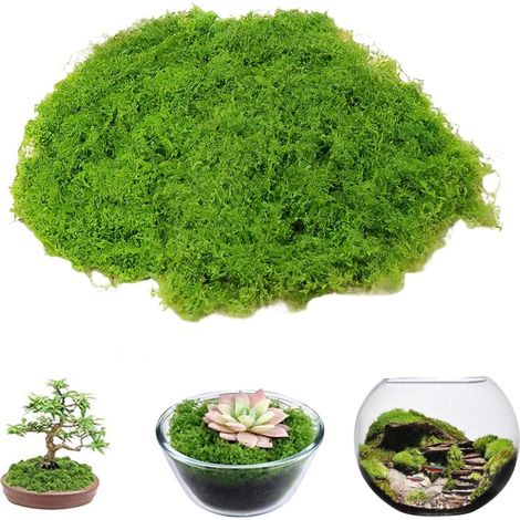 Fausse Mousse Végétale Decorative Mousse Artificielle Vert Pomme – 300g – Aspect Naturel, Souple – Décor de Noël, Pâques, Centres de Table, Miniature – pour Maison, Crèche, DIY, Atelier (1/5)