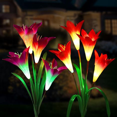 Lampes solaires d'extérieur pour jardin, lot de 2 lampes solaires pour jardin-AquaForge