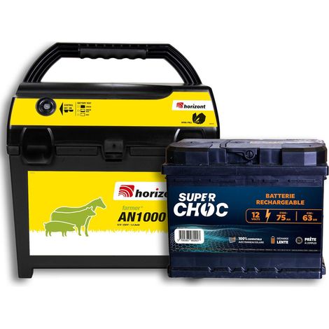 Poste mixte AN1000 et batterie 12 V 75 Ah (1/4)