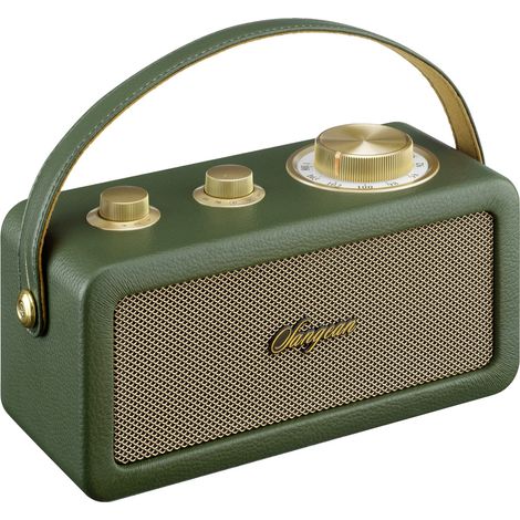 Sangean RA-101 Akku-Radio FM Bluetooth®, AUX  wiederaufladbar Grün, Gold