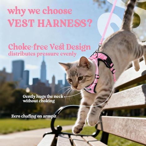 Harnais pour chat Rabbitgoo S rose, ajustable et réfléchissant, gilet respirant avec laisse (1/5)