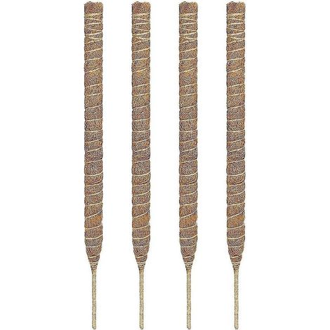 Poteau de support pour plantes en mousse et fibre de coco - Tuteurs d'escalade - Extension pliable pour plantes grimpantes Monstera d'intérieur (1/3)