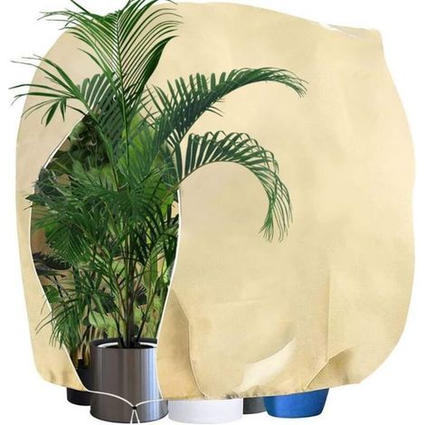 Non-woven winter plant cover 240x200cm (80g) for cold and heat protection.