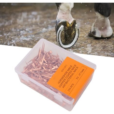 250 clous de fer à cheval cuivrés (47,5 mm), pour l'équitation et les animaux de compagnie. (1/5)