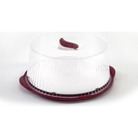 Présentoir à gâteau - L 36,5 x l 33 x H 14,8 cm - Coloris aléatoire - Livraison gratuite (1/4)