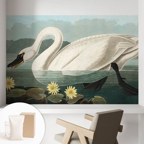 Papier peint intissé à motifs décoratifs pour salon chambre et bureau Décoration murale élégante avec colle Cygne et nénuphars 104x70 cm (1/5)