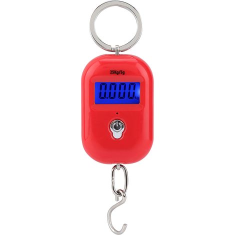 Pesée électronique portable mini 25kg/5g, crochet de pesage numérique pour clés, balance de poche légère. (1/5)