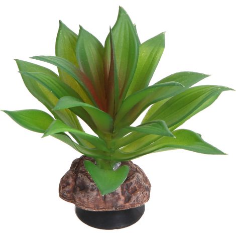Hobby Terra Succulent 2 - Höhe 10cm (1/2)