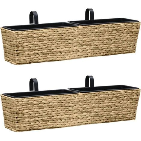 Ensemble de deux pots pour jacinthe d'eau (1/5)