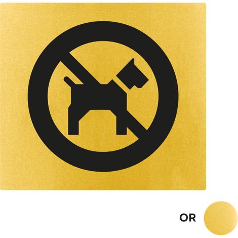 Plaque de porte Interdit aux chiens - Classique or 90x90mm - 4500188