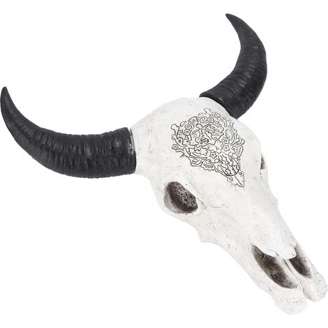Décoration murale Longhorn, crâne de taureau poli et peint à la main, surface ferme, pour la décoration de fond. (1/5)