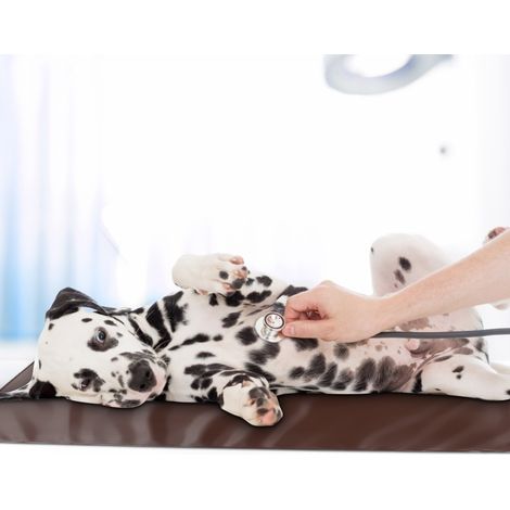 Beheizbare Hundematte, leicht zu reinigen, medizinisches Pflegekissen für Welpen (50 x 100 cm) (1/5)