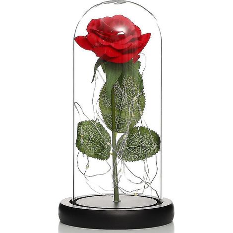Ewige Rosen unter Glas – Geburtstagsgeschenke – Muttertag (1/4)