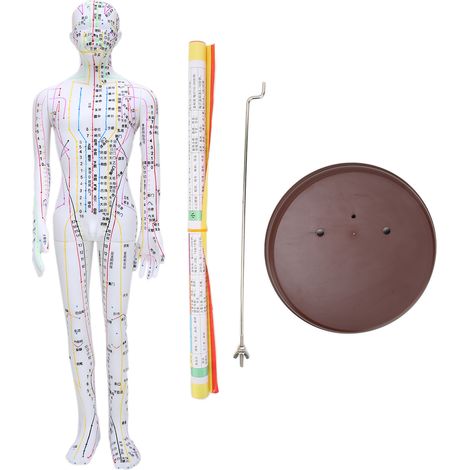 Modèle de méridiens d'acupuncture humain 60cm avec support, set d'aiguilles inclus, pour pratique thérapeutique (1/5)