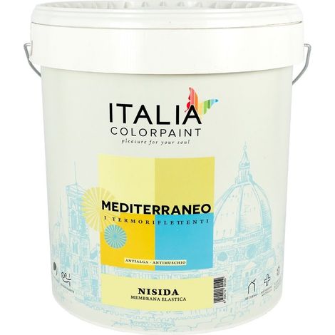 Nisida guaina impermeabilizzante pedonabile termoriflettente litri 4 bianco (1/5)
