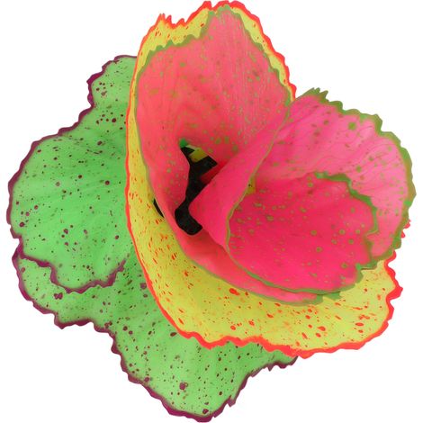 Décoration artificielle de corail, plantes fluorescentes pour aquarium, décoration paysagère colorée (1/5)